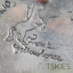 Hallmark of Frank Yellowhorse (Navajo) — photographed by T.Skies